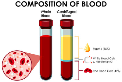 PRP (platelet-rich plasma) Vampire Lifting